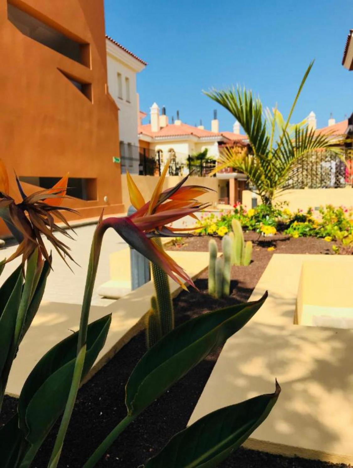 Апартаменти Selena Luxury Monte Carrera Ла-Плайя-де-Аргінегін Екстер'єр фото